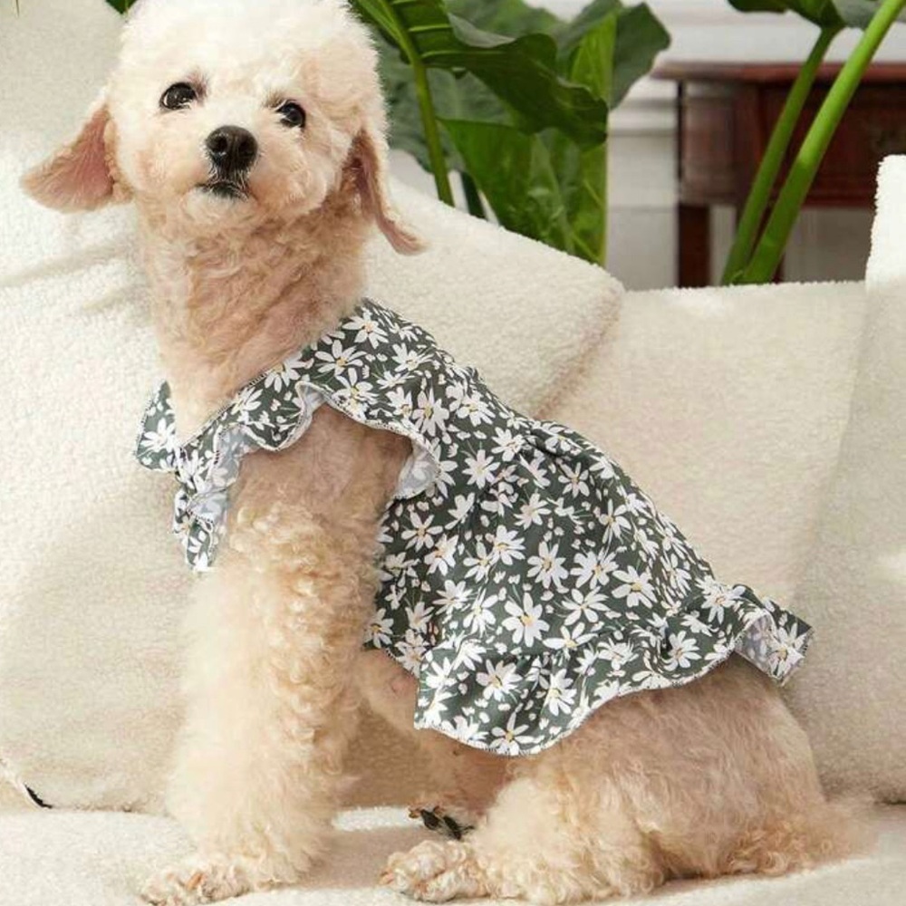 Olive green and white daisies small pet dress, large